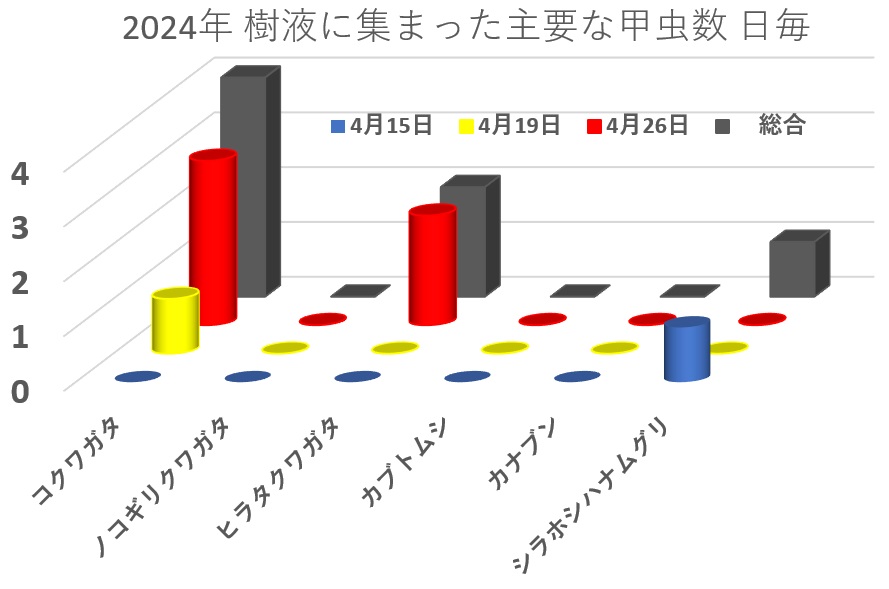 昆虫バカセフォールドで見つかった樹液に集まる主要な甲虫数 日別_240426